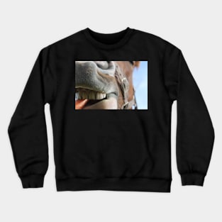 Dianas Smile Crewneck Sweatshirt